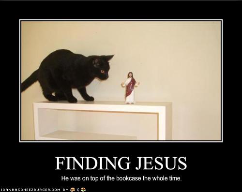 Cat finds Jesus.  srsly!